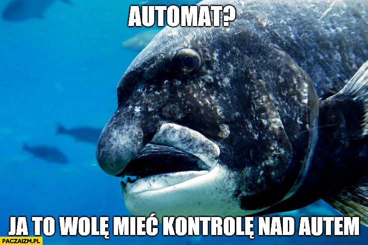 
    Automat ja to wolę mieć kontrolę nad autem ryba typowy Polak
