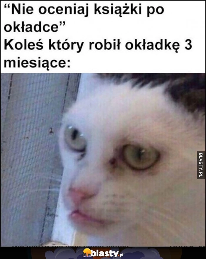 
    Nie oceniaj książki po okładce vs koleś który robił okładkę 3 miesiące kot