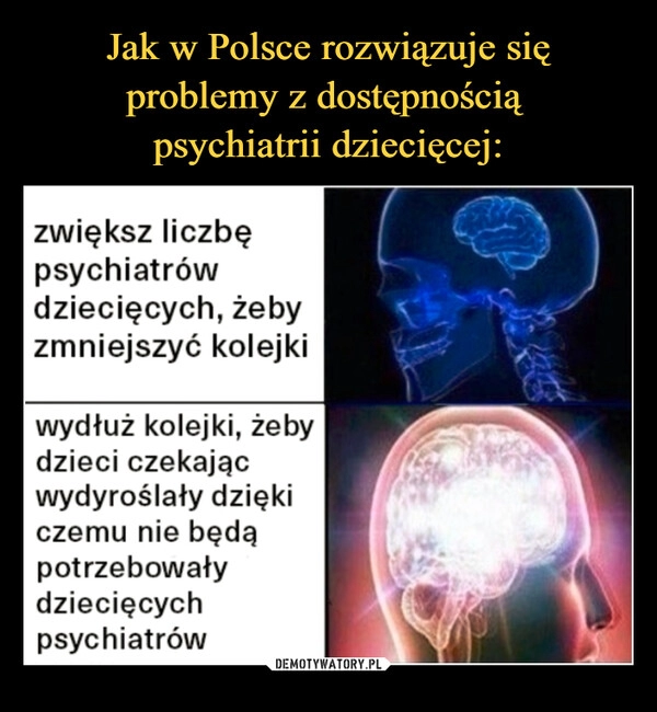 
    Jak w Polsce rozwiązuje się problemy z dostępnością 
psychiatrii dziecięcej: