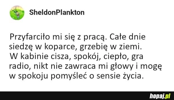 
    Najważniejsze to lubić swoją pracę