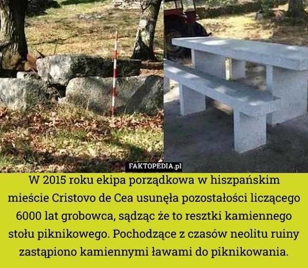 
    W 2015 roku ekipa porządkowa w hiszpańskim mieście Cristovo de Cea usunęła