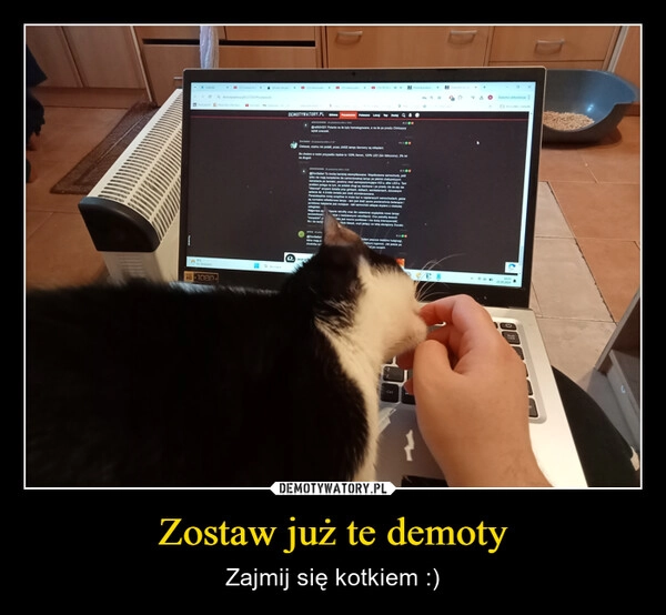 
    Zostaw już te demoty