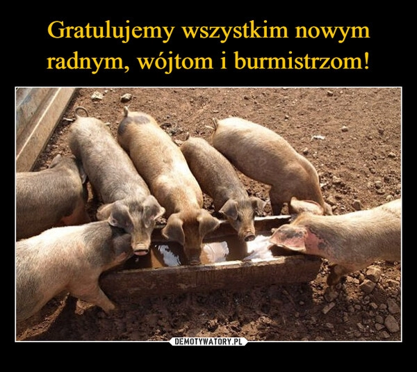 
    Gratulujemy wszystkim nowym radnym, wójtom i burmistrzom!