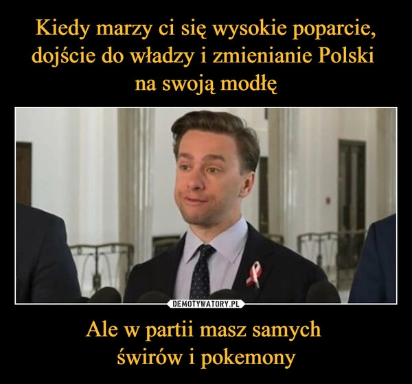 
    Kiedy marzy ci się wysokie poparcie, dojście do władzy i zmienianie Polski 
na swoją modłę Ale w partii masz samych 
świrów i pokemony