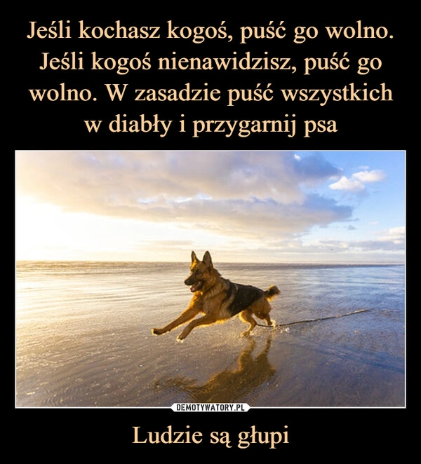 
    Jeśli kochasz kogoś, puść go wolno. Jeśli kogoś nienawidzisz, puść go wolno. W zasadzie puść wszystkich w diabły i przygarnij psa Ludzie są głupi