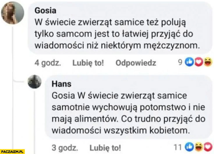 
    W świecie zwierząt samice samotnie wychowują potomstwo i nie maja alimentów co trudno przyjąć do wiadomosci wszystkim kobietom komentarz na facebooku