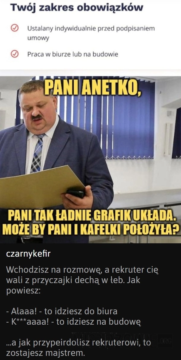 
    Zakres obowiązków Anetki