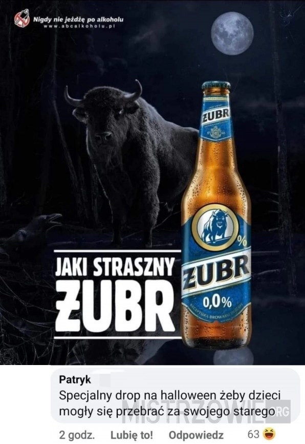 
    
			Żubr					