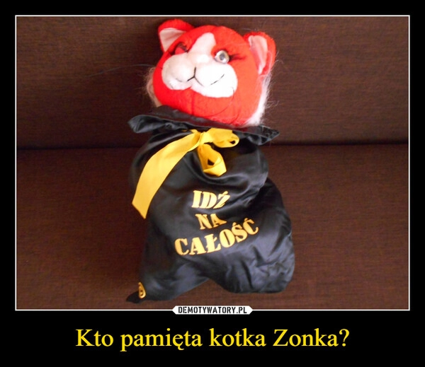 
    Kto pamięta kotka Zonka?