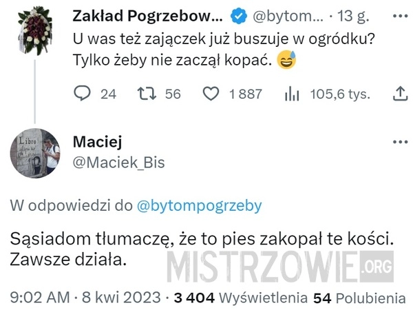 
    Zajączek