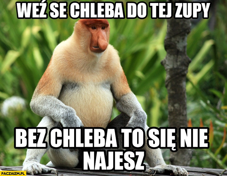 
    Weź se chleba do tej zupy bez chleba to się nie najesz małpa