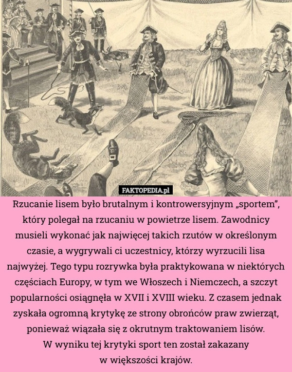 
    Rzucanie lisem było brutalnym i kontrowersyjnym „sportem”, który polegał