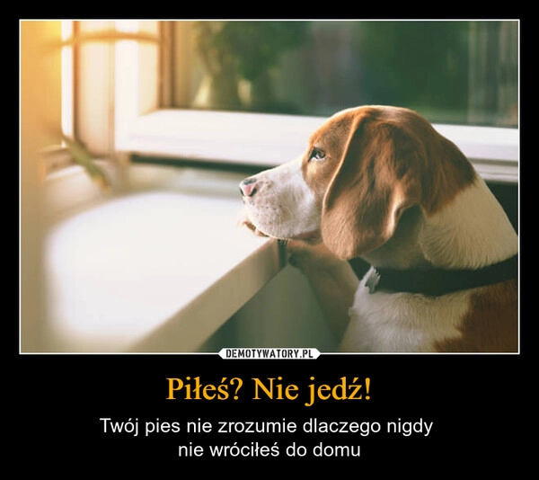 
    Piłeś? Nie jedź!
