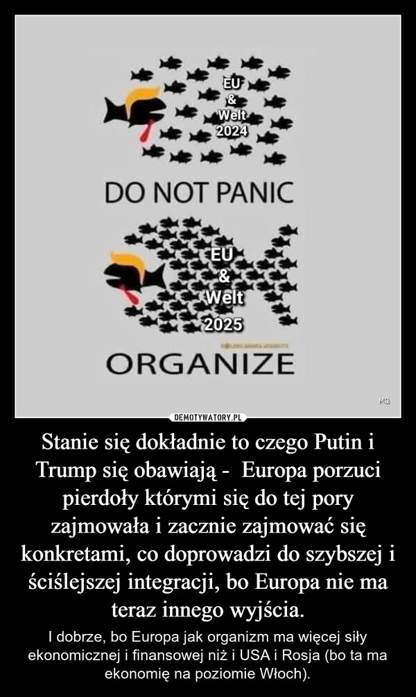 
    Stanie się dokładnie to czego Putin i Trump się obawiają -  Europa porzuci pierdoły którymi się do tej pory zajmowała i zacznie zajmować się konkretami, co doprowadzi do szybszej i ściślejszej integracji, bo Europa nie ma teraz innego wyjścia.