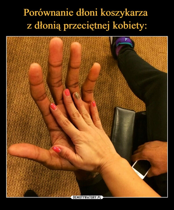 
    Porównanie dłoni koszykarza 
z dłonią przeciętnej kobiety: