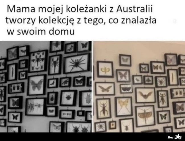 
    Kiedy mieszkasz w Australii 