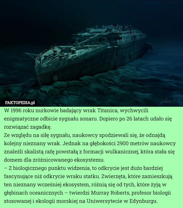 
    W 1996 roku nurkowie badający wrak Titanica, wychwycili enigmatyczne odbicie