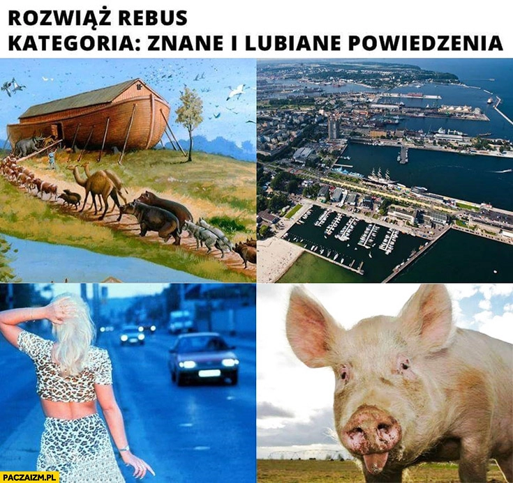 
    Rozwiąż rebus, kategoria znane i lubiane powiedzenia Arka Gdynia kurna świnia