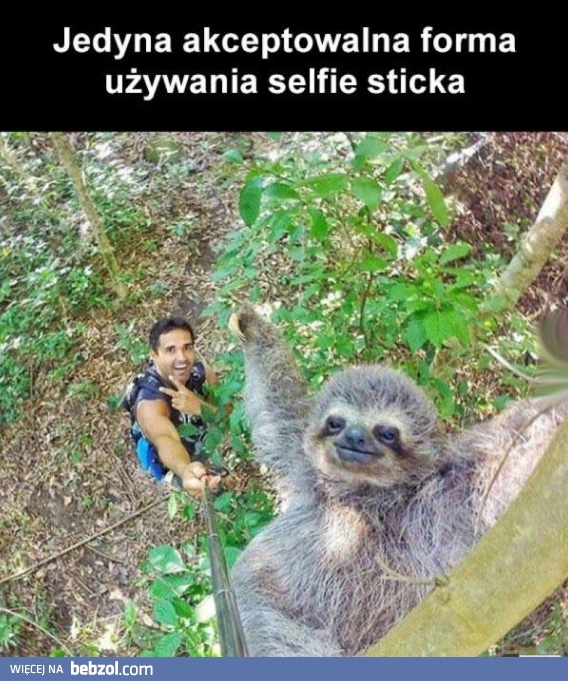 
    Jedyna słuszna droga