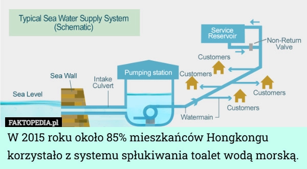 
    W 2015 roku około 85% mieszkańców Hongkongu korzystało z systemu spłukiwania...
