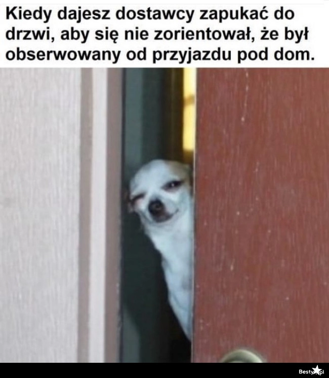 
    Trzeba stwarzać pozory 