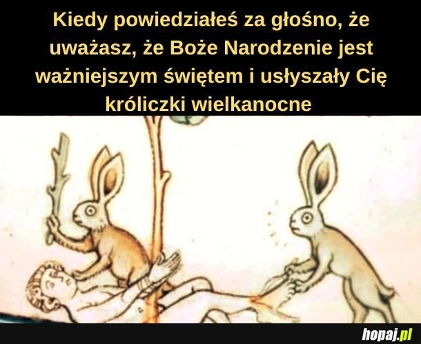 
    Króliczek. 