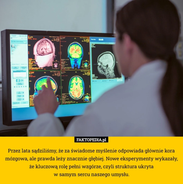 
    Przez lata sądziliśmy, że za świadome myślenie odpowiada głównie kora mózgowa,
