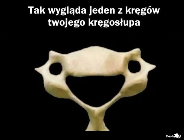 
    Wesołek z niego 