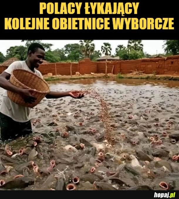 
    Obietnice wyborcze. 