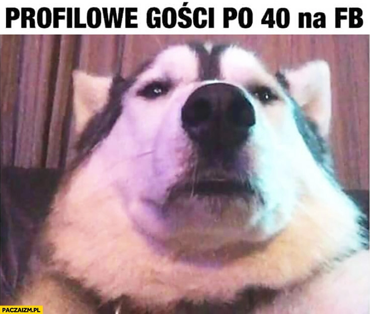 
    Profilowe gości po 40. czterdziestce na fb facebooku pies selfie