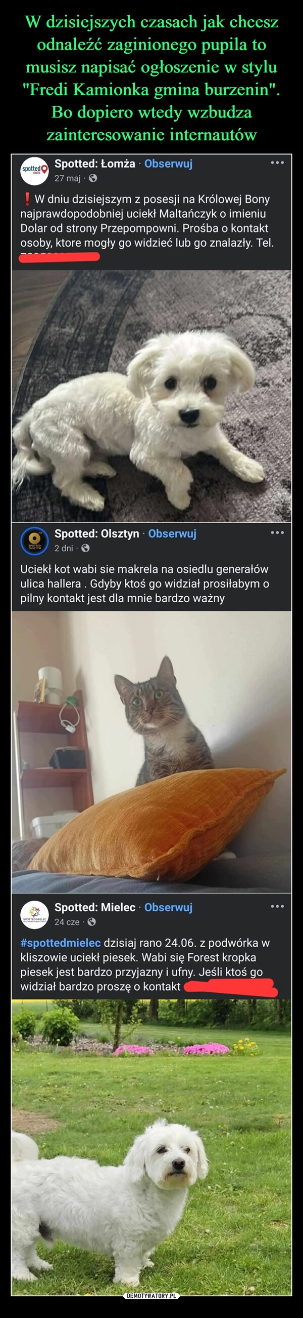 
    W dzisiejszych czasach jak chcesz odnaleźć zaginionego pupila to musisz napisać ogłoszenie w stylu "Fredi Kamionka gmina burzenin". Bo dopiero wtedy wzbudza zainteresowanie internautów