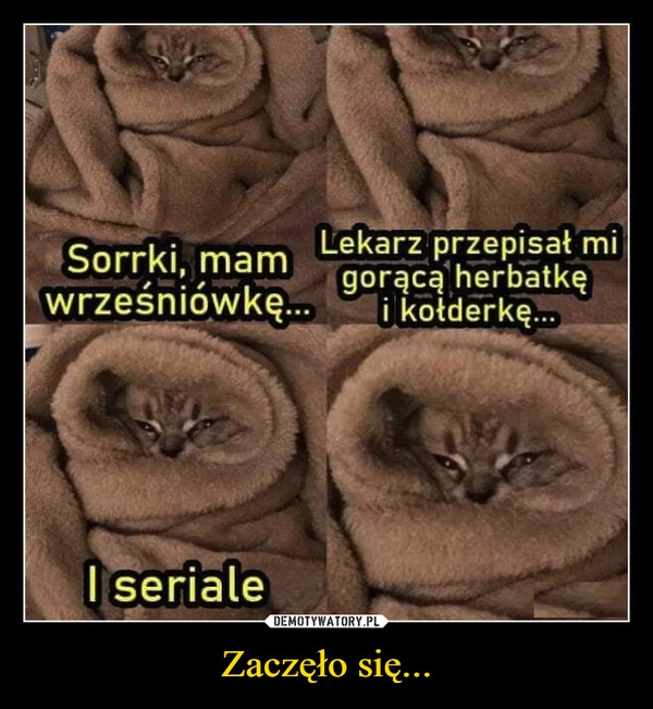 
    Zaczęło się...