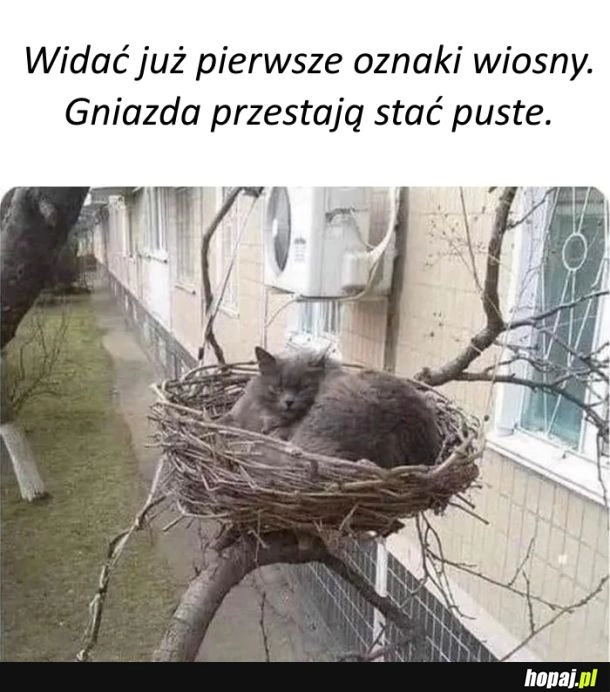 
    Wiosna tuż, tuż.