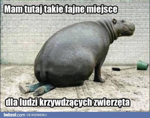 
    Miejsce dla ludzi krzywdzących zwierzęta