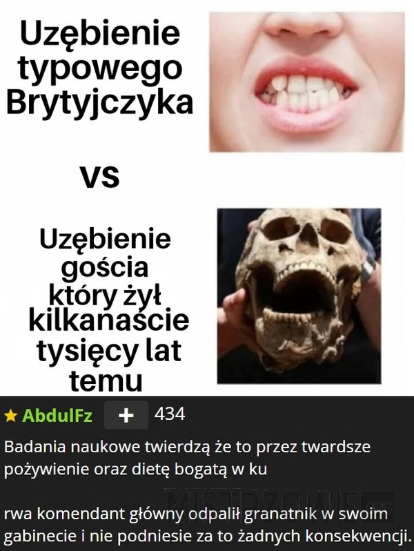 
    Ewolucja się popsuła