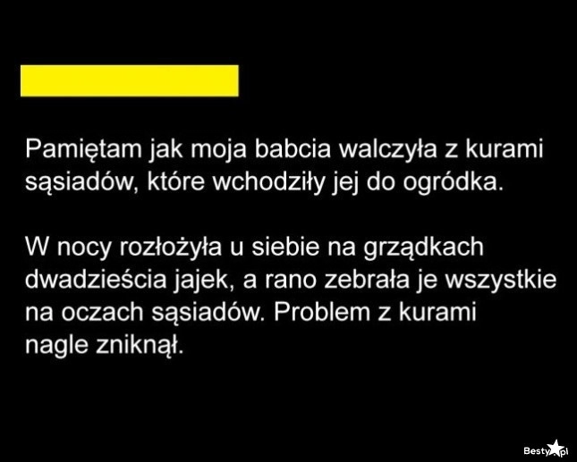 
    Kury sąsiadów 