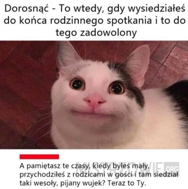 
    Dorosłość