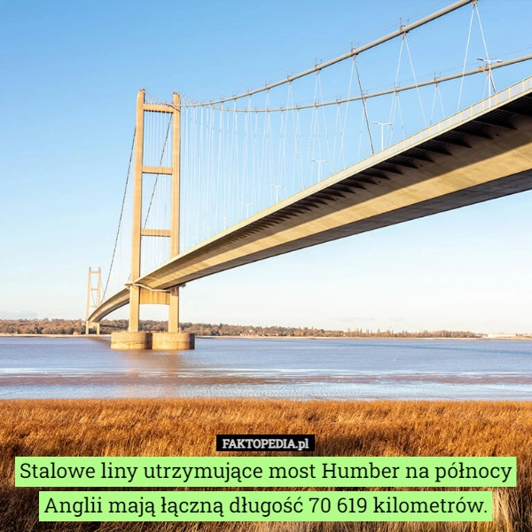 
    Stalowe liny utrzymujące most Humber na północy Anglii mają łączną długość