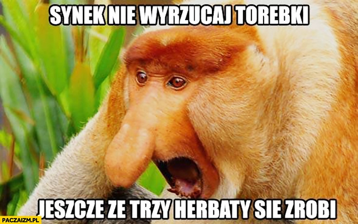 
    Synek nie wyrzucaj torebki jeszcze ze trzy herbaty się zrobi. Typowy Polak nosacz małpa