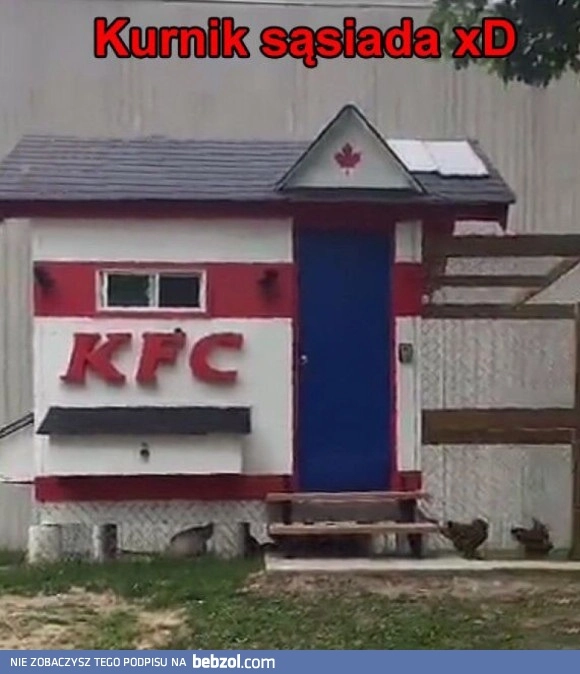 
    Kurnik sąsiada 