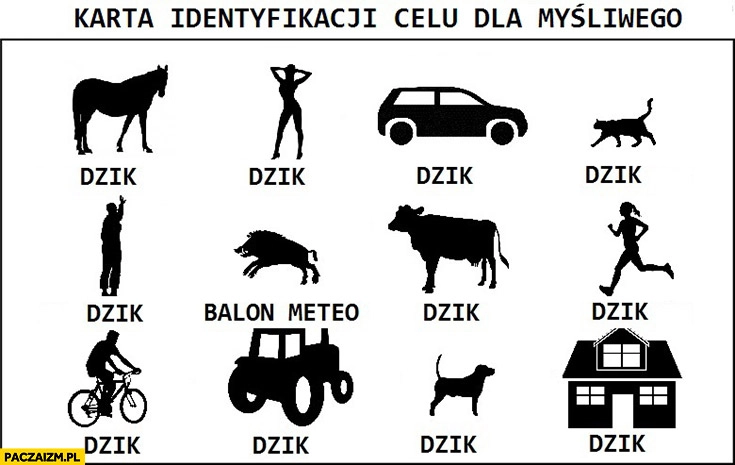 
    Karta identyfikacji celu dla myśliwego wszystko to dzik jest dzikiem balon meteo