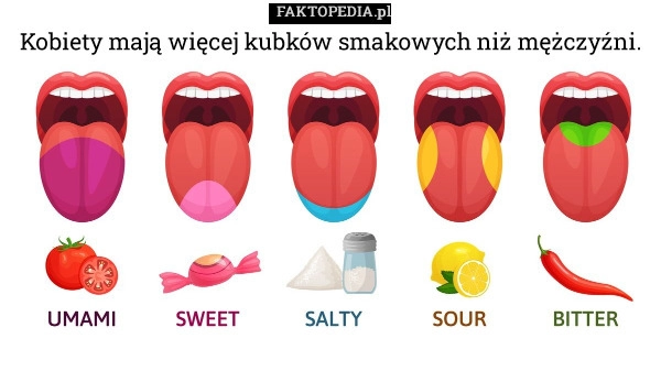 
    Kobiety mają więcej kubków smakowych niż mężczyźni.