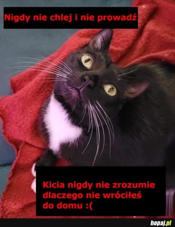 
    Prawda