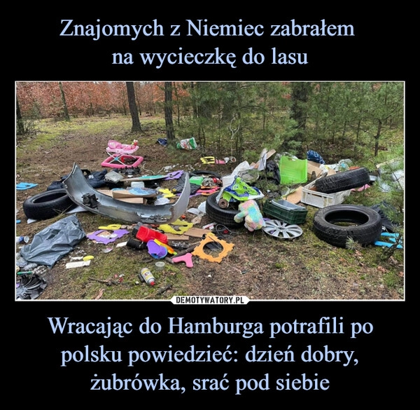 
    Znajomych z Niemiec zabrałem 
na wycieczkę do lasu Wracając do Hamburga potrafili po polsku powiedzieć: dzień dobry, żubrówka, srać pod siebie