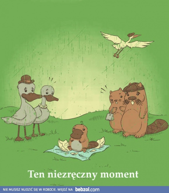 
    Skąd wzięły się dziobaki?
