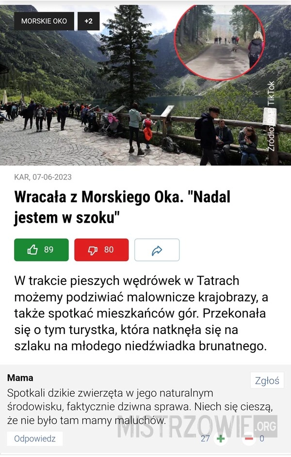 
    Piesza wędrówka w Tatrach