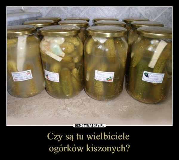 
    Czy są tu wielbiciele 
ogórków kiszonych?