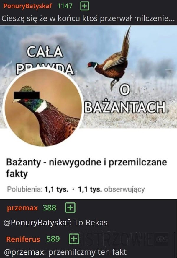 
    Bażanty