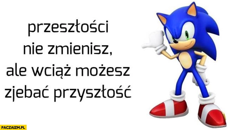 
    Przeszłości nie zmienisz ale wciąż możesz zjebać przyszłość Sonic