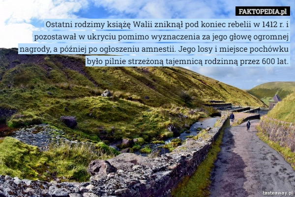 
    Ostatni rodzimy książę Walii zniknął pod koniec rebelii w 1412 r. i pozostawał